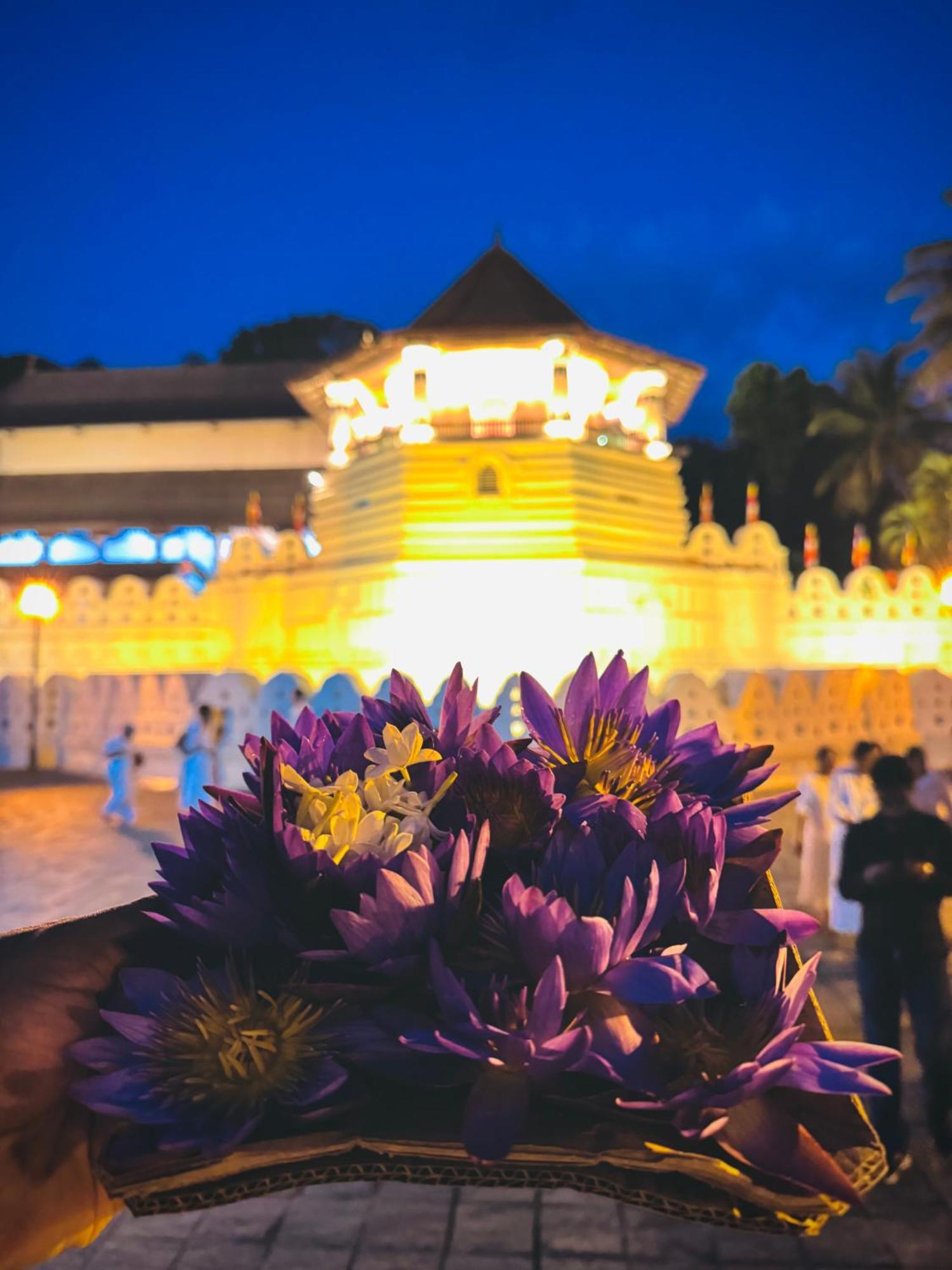 Mahaweli View Bungalow Kandy Bagian luar foto